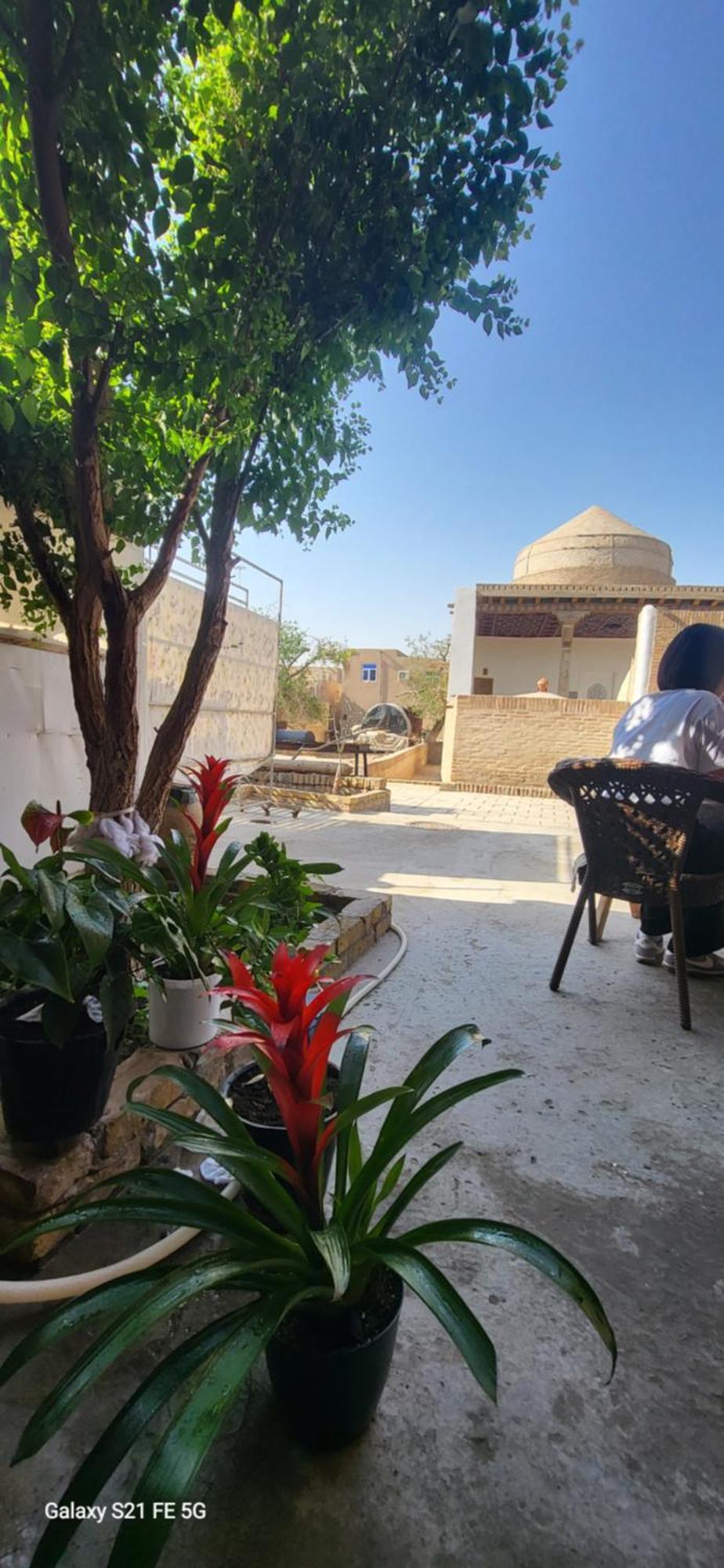 B&B, Khiva ,, Abdullah " In Ichan Kala 外观 照片